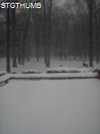 PC220066a.JPG

708.25 KB 
1200 x 1600 
2/3/2011