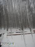 PC220068a.JPG

706.09 KB 
1200 x 1600 
2/3/2011