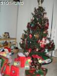PC250098a.JPG

749.76 KB 
1200 x 1600 
2/3/2011