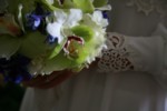 0079.jpg
2,221.86 KB 
4368 x 2912 
4/1/2008

