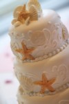 0850.jpg
798.36 KB 
2336 x 3504 
3/31/2008
