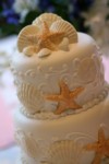0860.jpg
1,021.94 KB 
2336 x 3504 
4/1/2008
